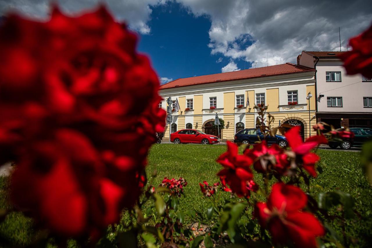 Penzion Satlava Nové Město nad Metují Kültér fotó